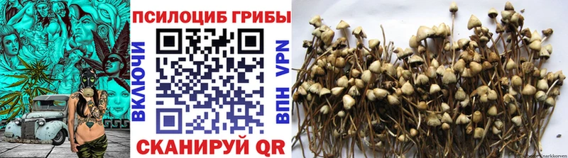 Псилоцибиновые грибы GOLDEN TEACHER Гдов