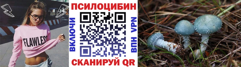 Галлюциногенные грибы мухоморы Гдов